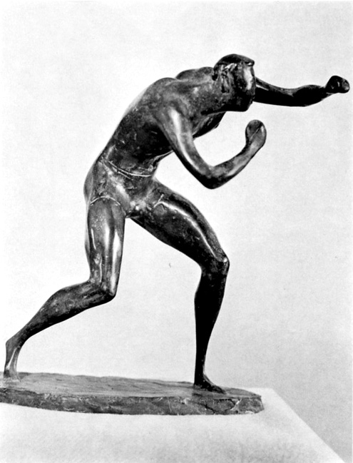 boxer